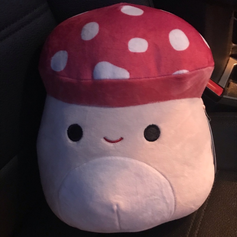 Malcolm the mushroom squishmallow